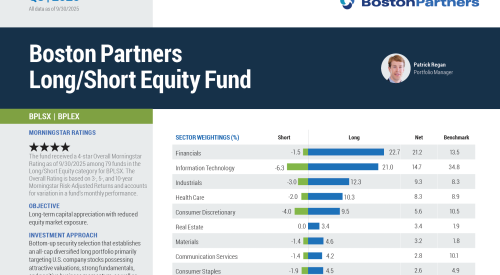BPLSX-factsheet-image